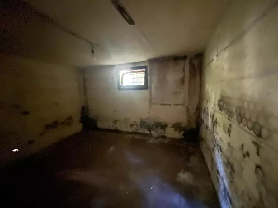 Immagine 18 di Rustico / casale in vendita  a Camaiore