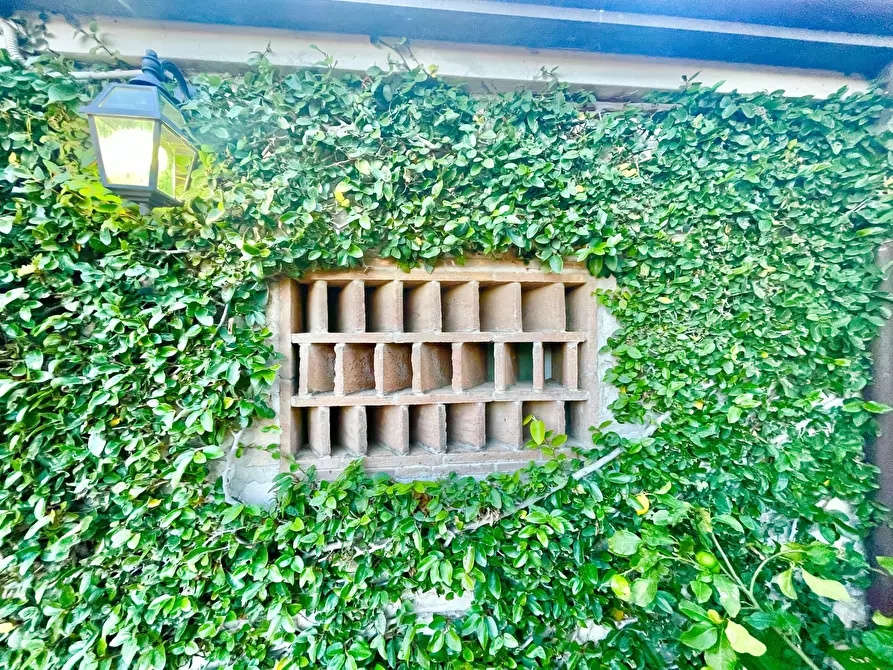 Immagine 84 di Porzione di casa in vendita  a Massarosa