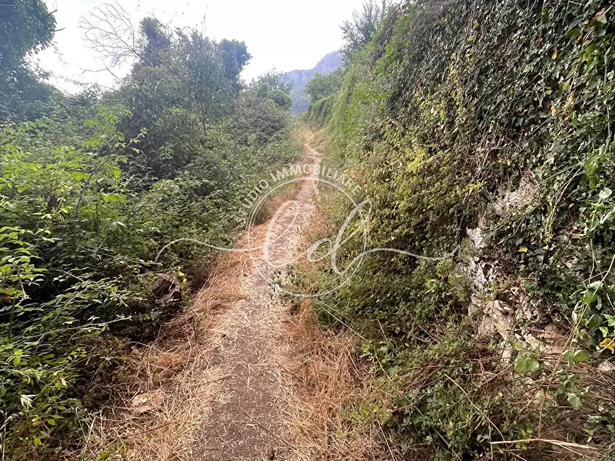 Immagine 44 di Porzione di casa in vendita  a Camaiore