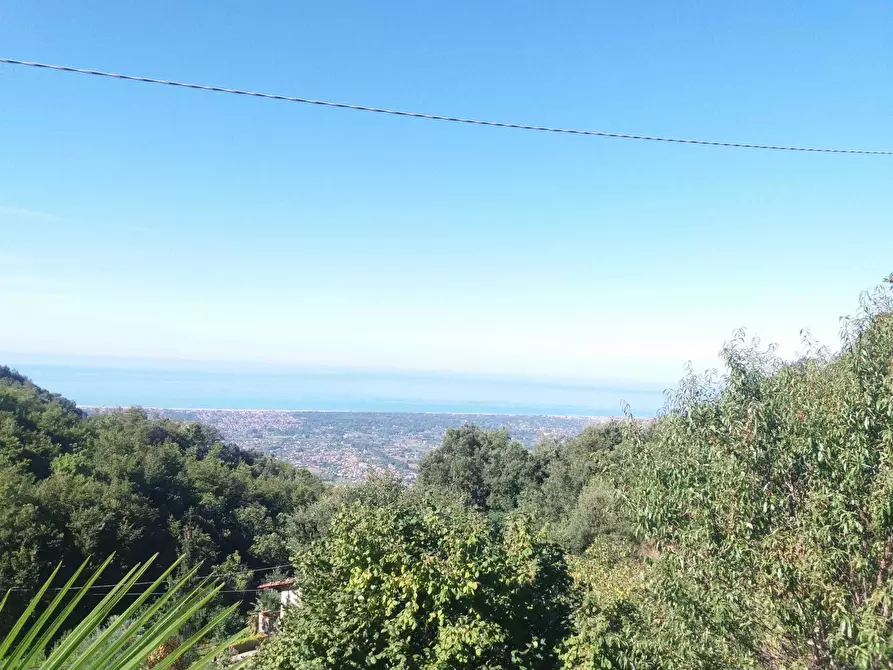 Immagine 4 di Porzione di casa in vendita  a Pietrasanta