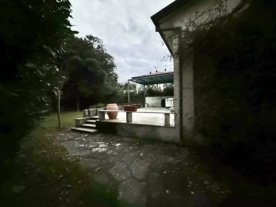 Immagine 65 di Casa indipendente in affitto  a Pietrasanta