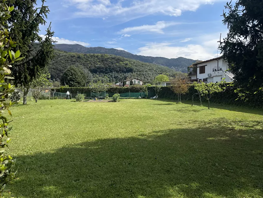 Immagine 1 di Terreno agricolo in vendita  a Pietrasanta