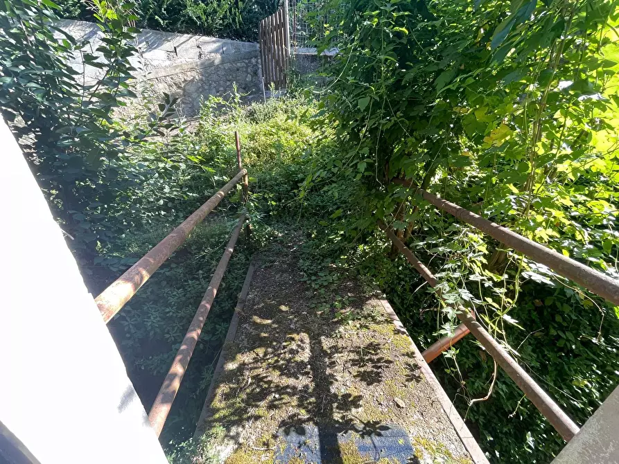 Immagine 27 di Rustico / casale in vendita  a Camaiore