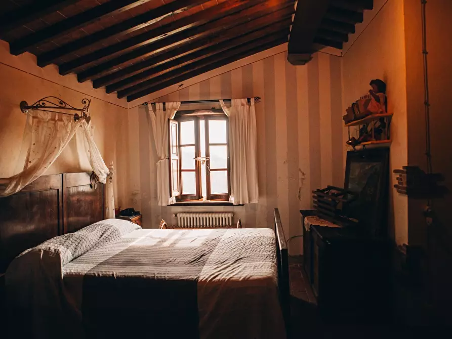 Immagine 21 di Rustico / casale in affitto  a Camaiore