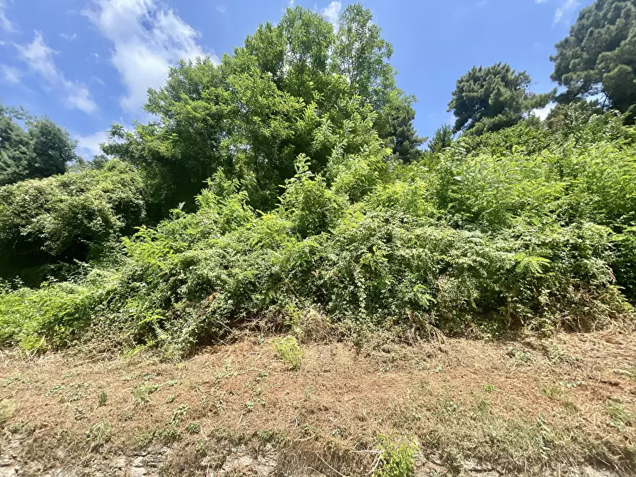 Immagine 32 di Rustico / casale in vendita  a Seravezza