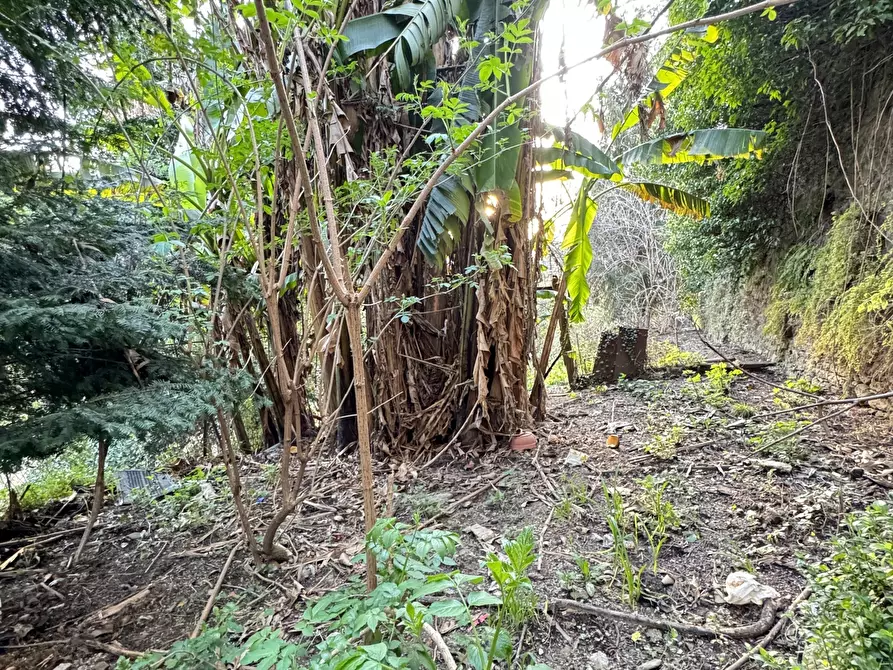 Immagine 34 di Terratetto in vendita  a Stazzema