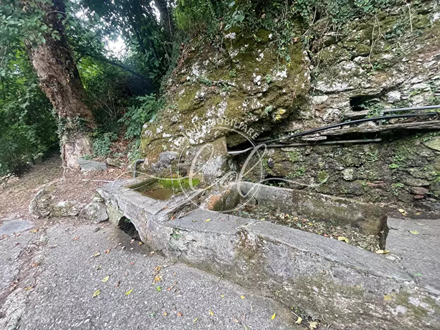 Immagine 26 di Porzione di casa in vendita  a Camaiore