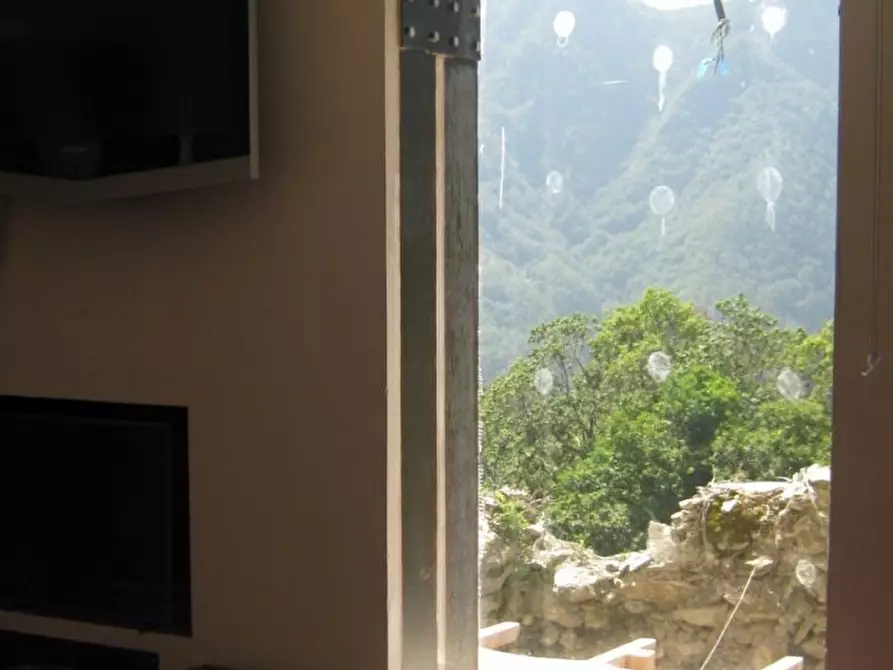 Immagine 20 di Terratetto in vendita  a Seravezza