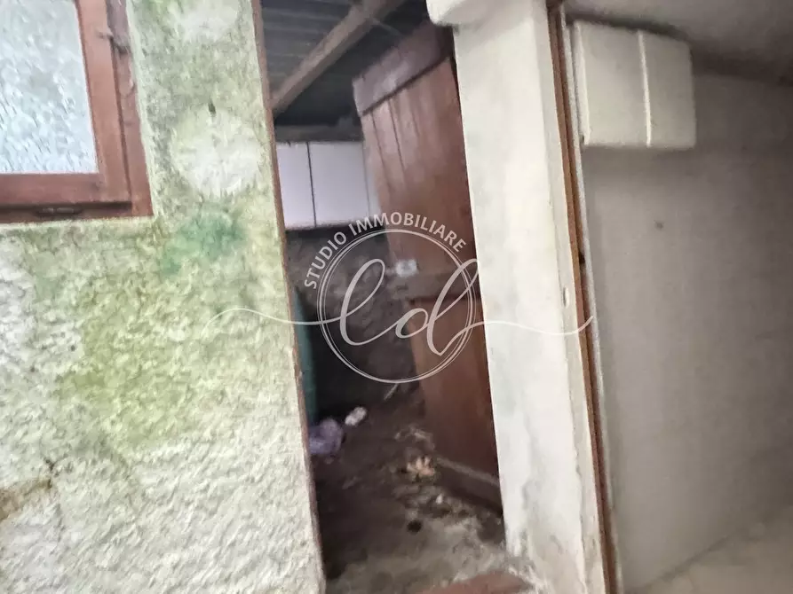 Immagine 38 di Terratetto in vendita  a Pietrasanta