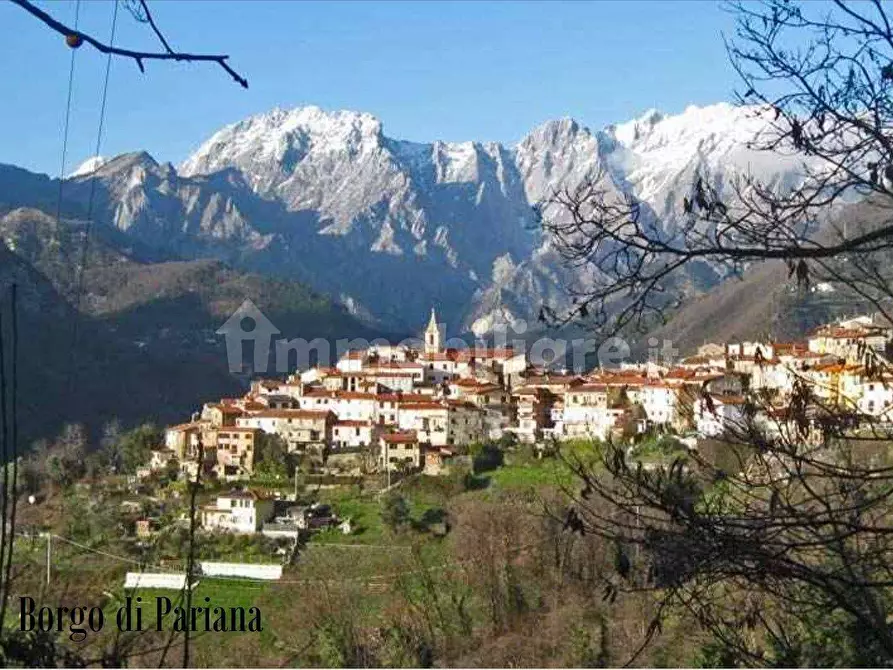 Immagine 5 di Bilocale in affitto  a Massa