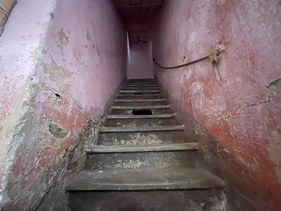 Immagine 23 di Terratetto in vendita  a Seravezza