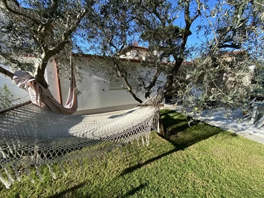 Immagine 10 di Casa indipendente in affitto  a Pietrasanta