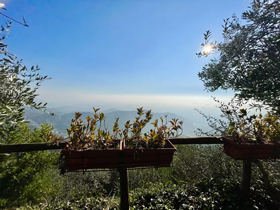 Immagine 10 di Baita in vendita  a Pietrasanta