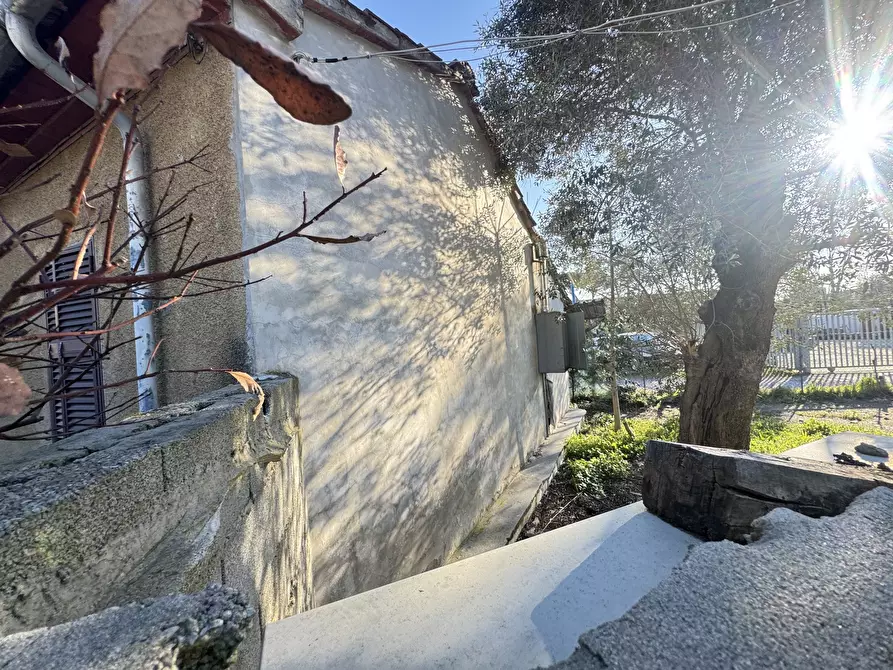 Immagine 16 di Casa indipendente in vendita  a Seravezza