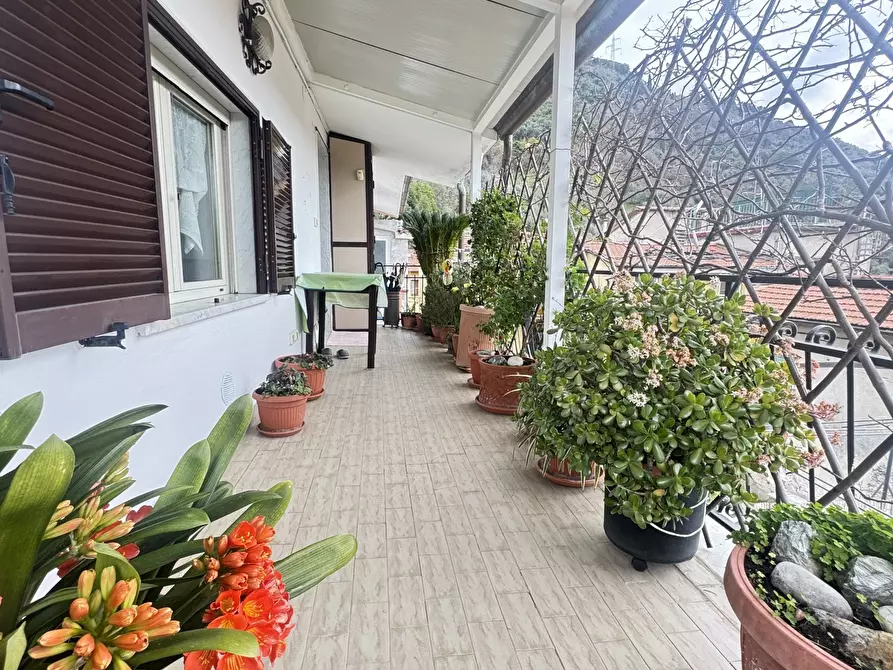 Immagine 3 di Quadrilocale in vendita  a Massa