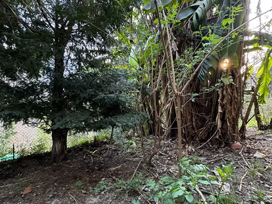 Immagine 35 di Terratetto in vendita  a Stazzema