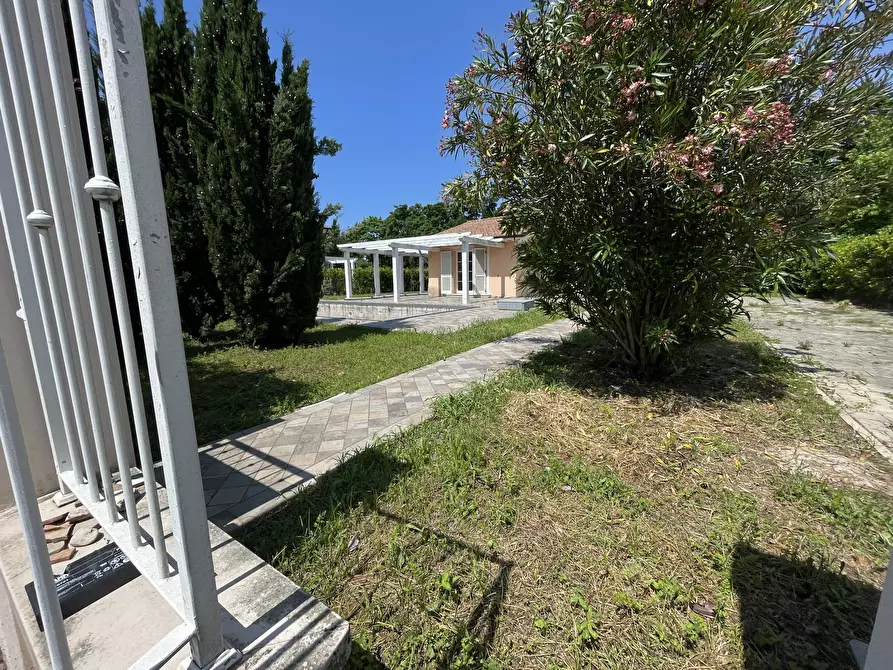 Immagine 4 di Villa in vendita  a Pietrasanta