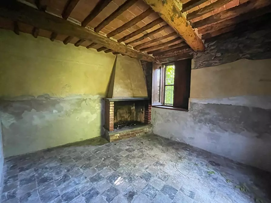 Immagine 12 di Rustico / casale in vendita  a Camaiore