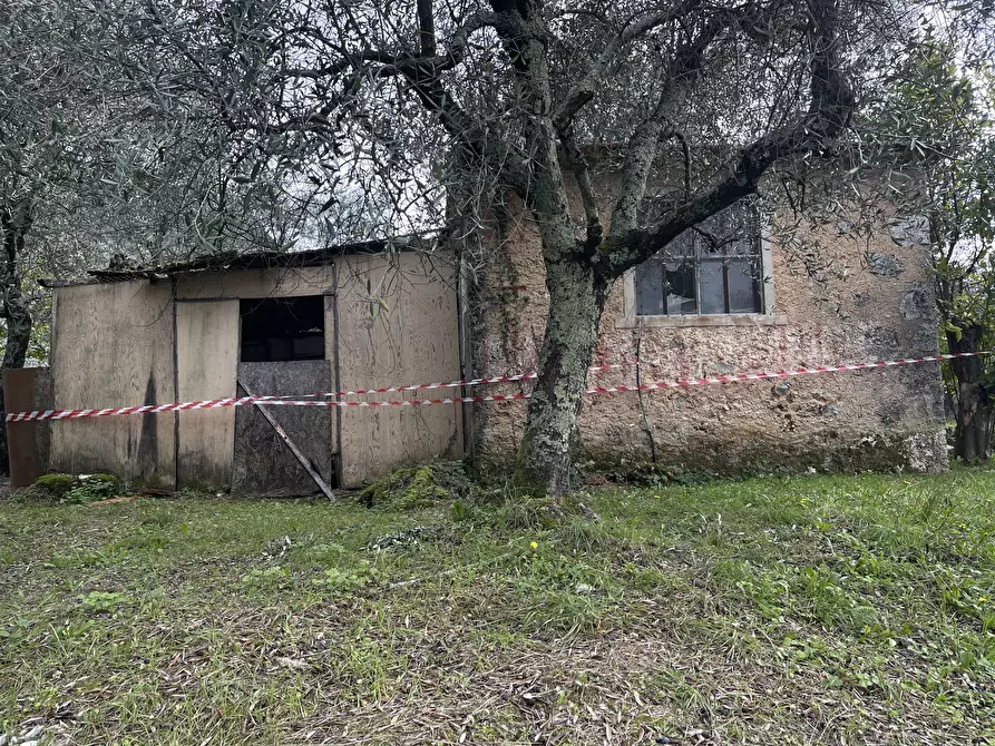 Immagine 4 di Laboratorio in vendita  a Pietrasanta