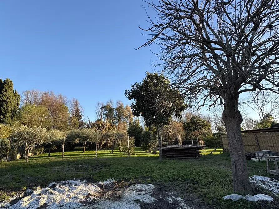 Immagine 1 di Laboratorio in vendita  a Pietrasanta