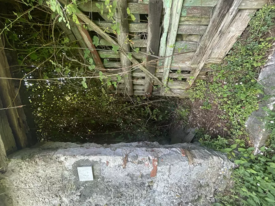 Immagine 23 di Rustico / casale in vendita  a Seravezza