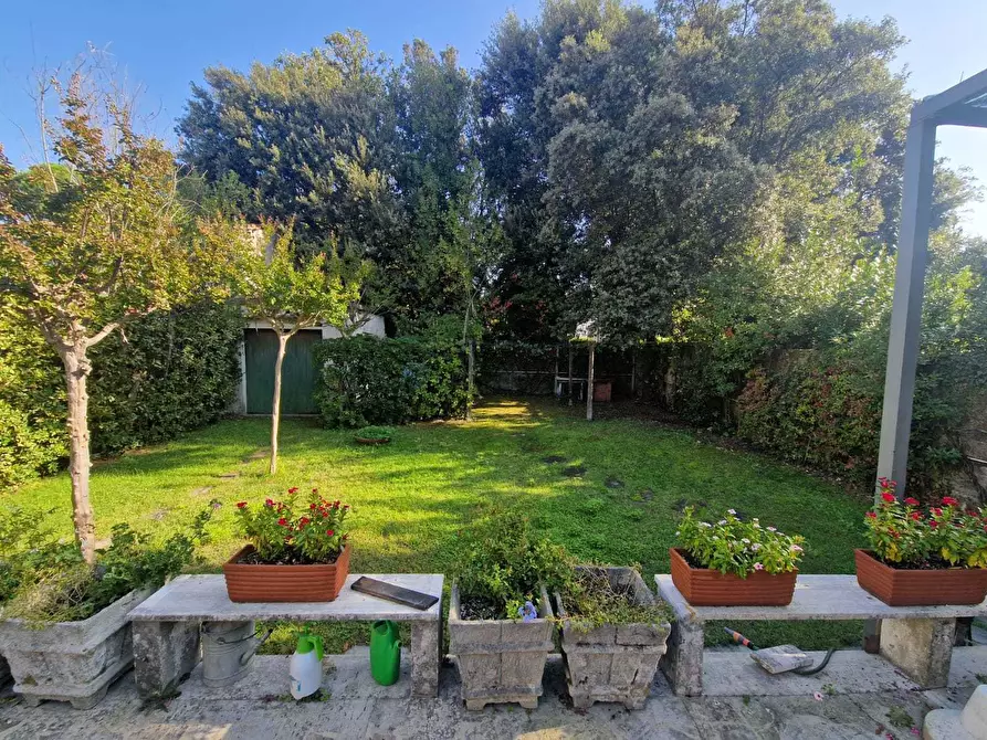 Immagine 41 di Casa indipendente in affitto  a Pietrasanta