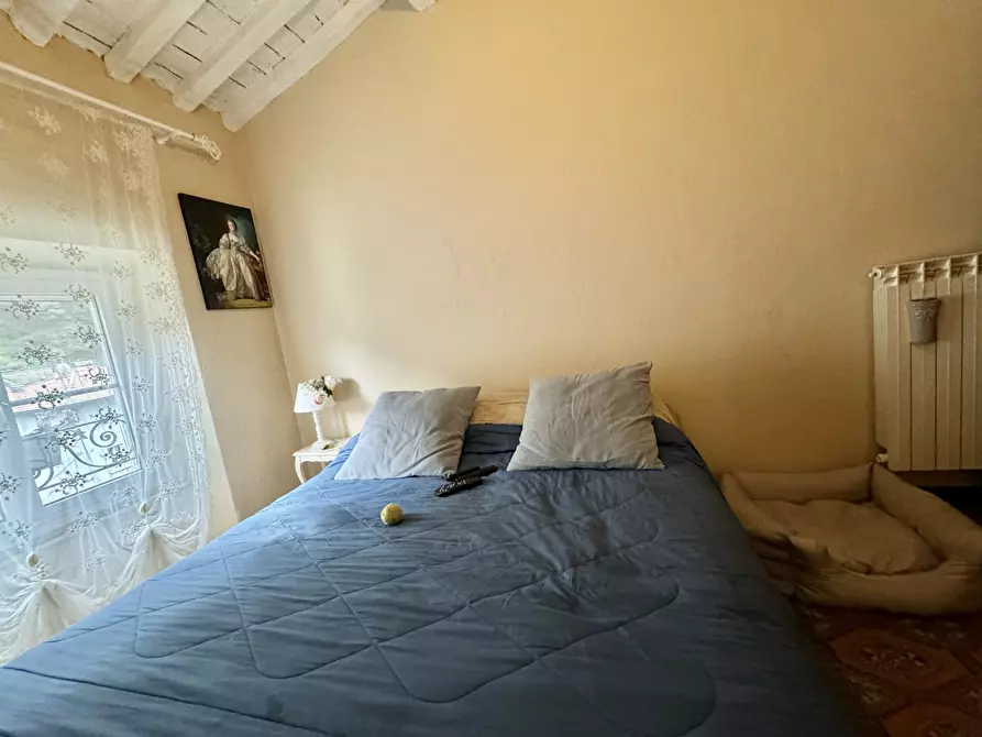 Immagine 25 di Quadrilocale in vendita  a Seravezza