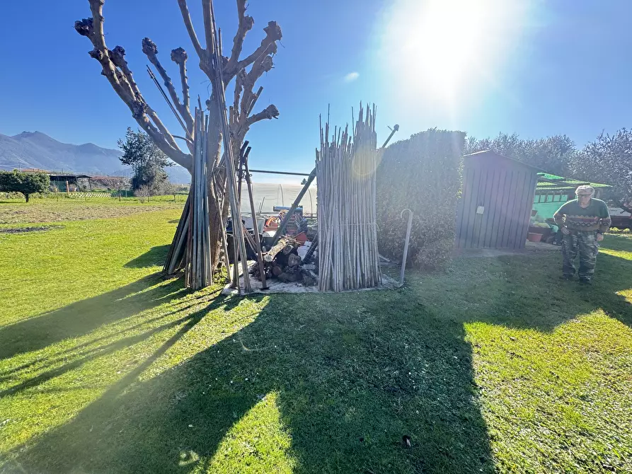 Immagine 15 di Terreno agricolo in vendita  a Pietrasanta
