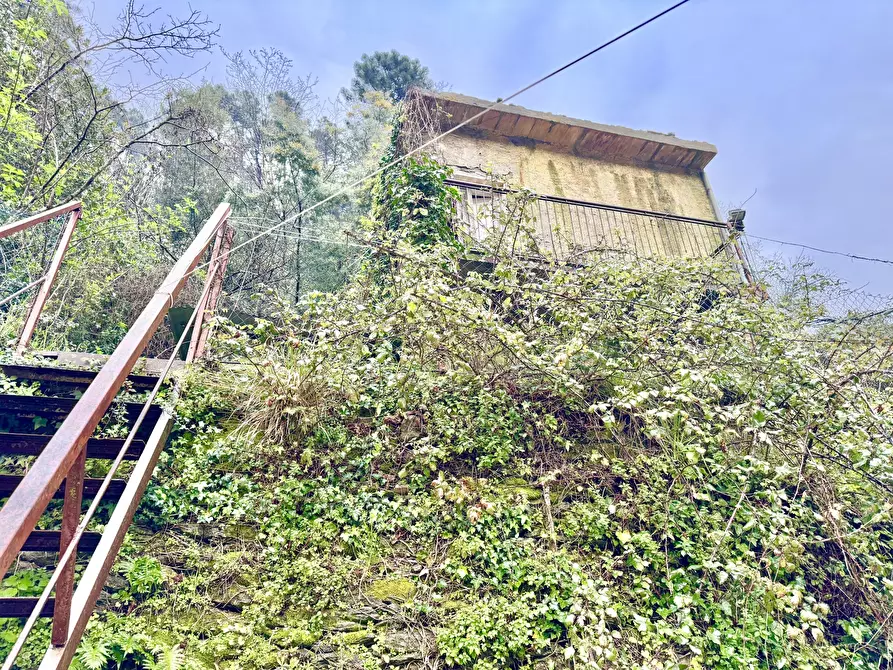 Immagine 43 di Terratetto in vendita  a Seravezza