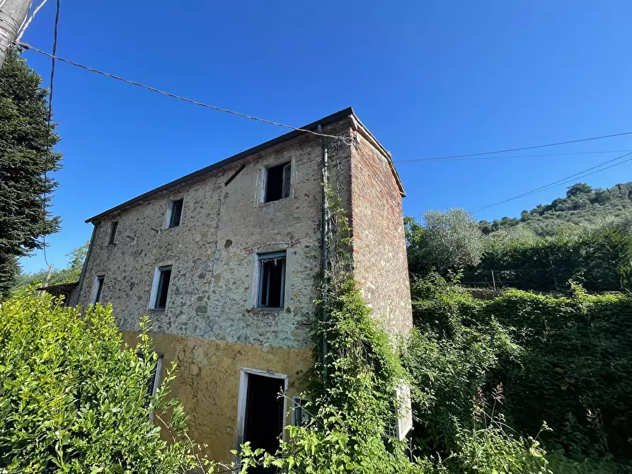 Immagine 1 di Rustico / casale in vendita  a Camaiore