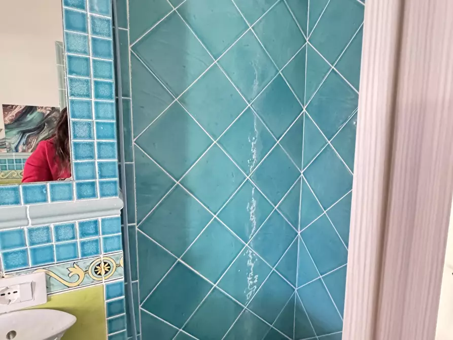 Immagine 47 di Villa in vendita  a Massa