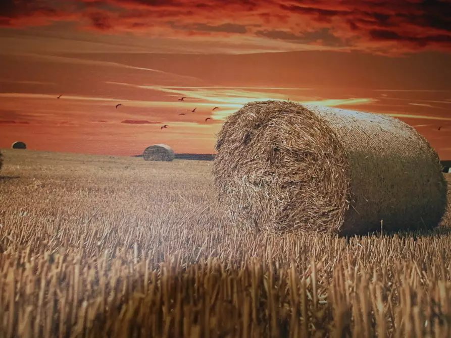 Immagine 88 di Villa in vendita  a Pietrasanta