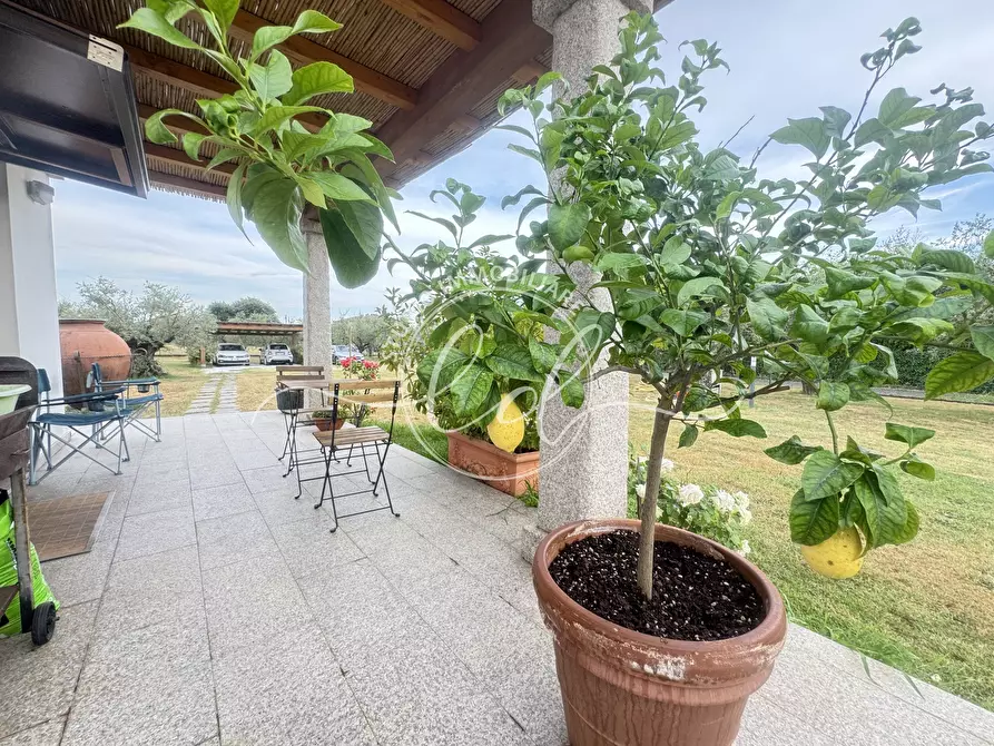 Immagine 5 di Terreno edificabile in vendita  a Ortonovo