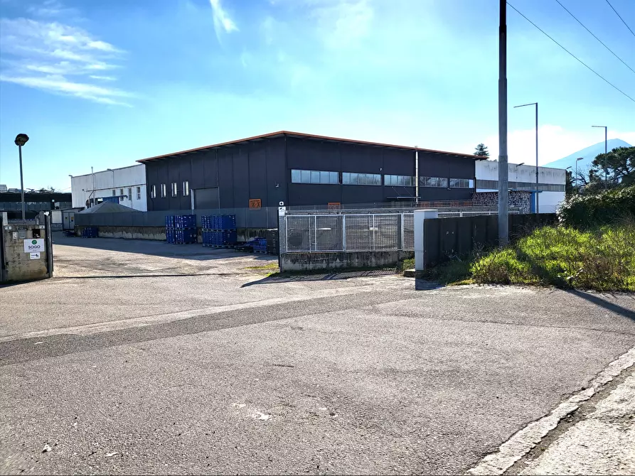 Immagine 5 di Attività artigianale in vendita  in Via ASI a Frosinone