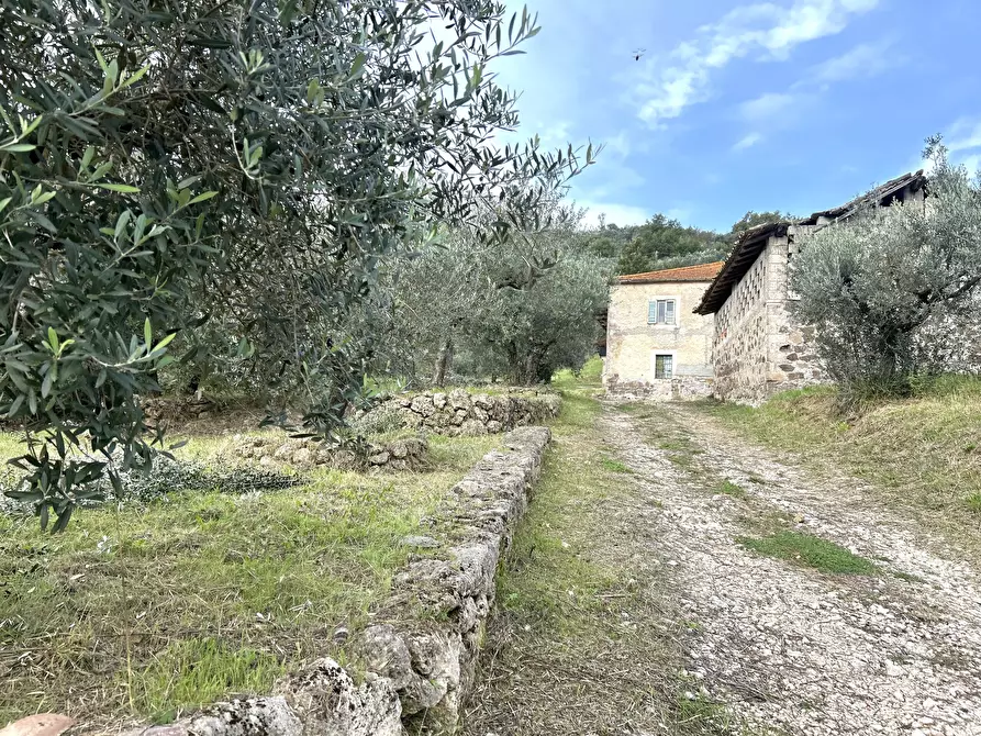 Immagine 14 di Rustico / casale in vendita  in Strada Provinciale 118 a Anagni