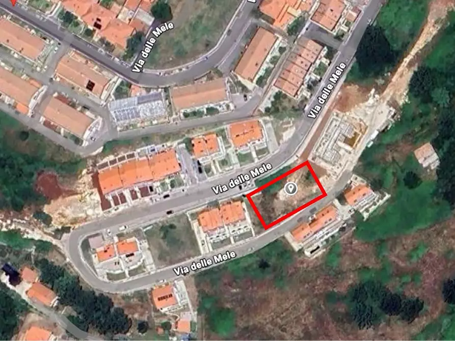 Immagine 8 di Terreno agricolo in vendita  in Via delle Mele a Segni