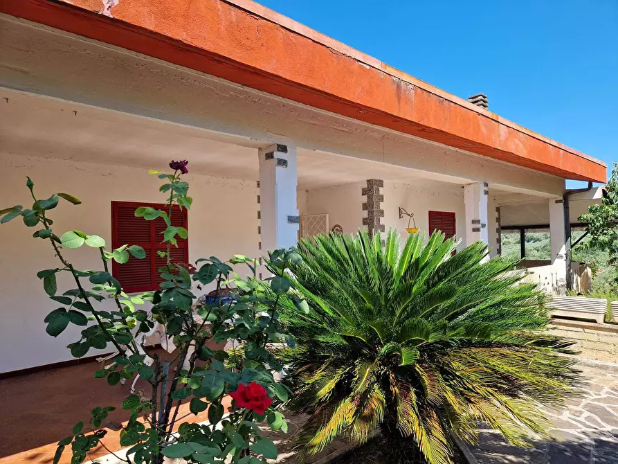Immagine 1 di Villa in vendita  in Contrada Zancati Nuovo a Paliano