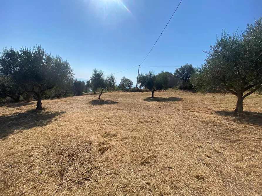 Immagine 16 di Porzione di casa in vendita  in Contrada Stagliano a Silvi