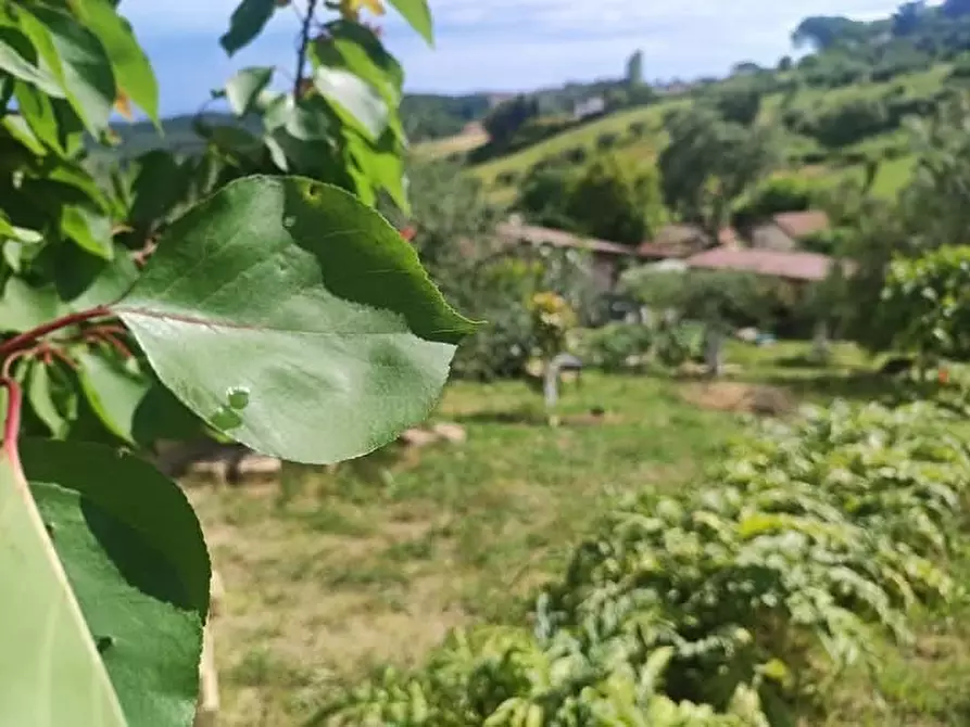 Immagine 1 di Terreno agricolo in vendita  in via monte palombino a Fonte Nuova