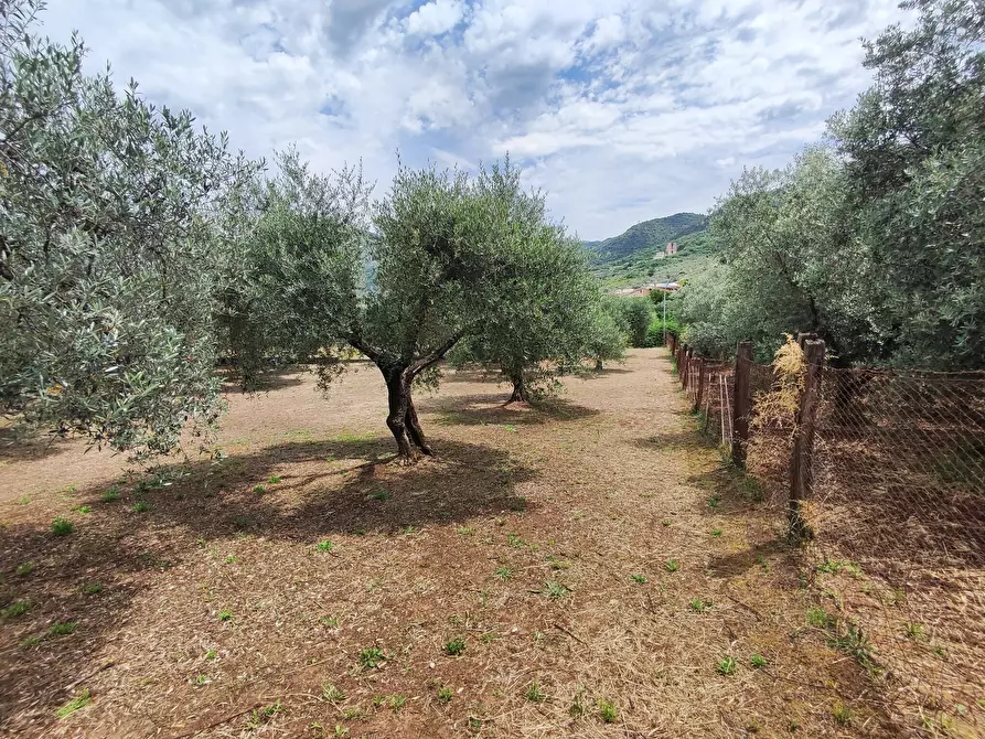 Immagine 7 di Quadrilocale in vendita  in Via Dello Scalo Ferroviario 8 a Marcellina