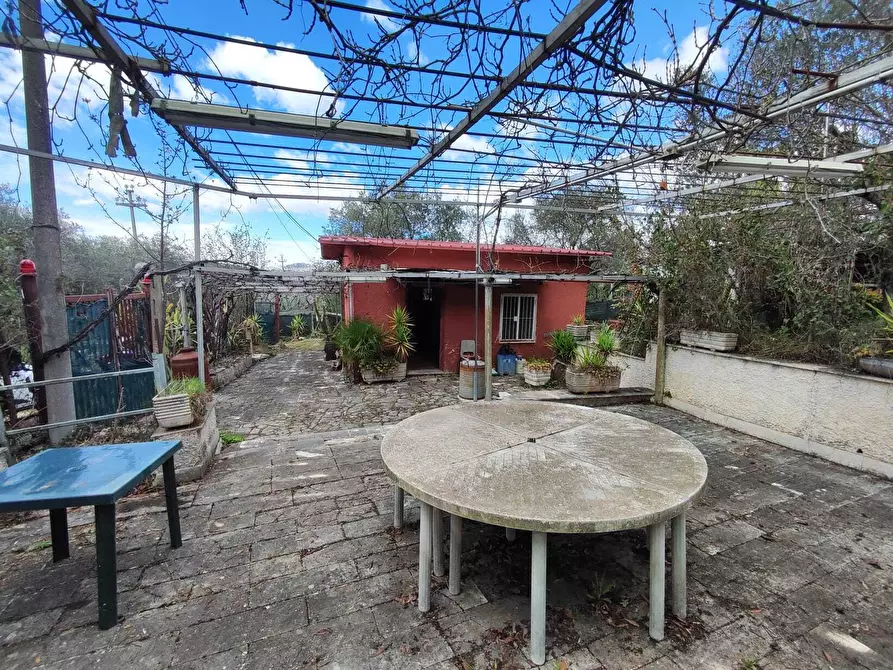 Immagine 15 di Terreno agricolo in vendita  in Via Dello Scalo Ferroviario 12 a Marcellina