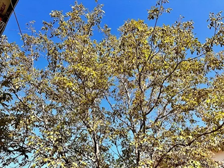 Immagine 20 di Rustico / casale in vendita  in via del mulino a Civitella Del Tronto