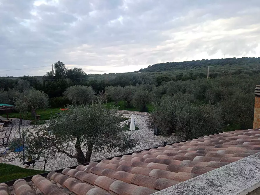 Immagine 8 di Villa in vendita  a Alghero