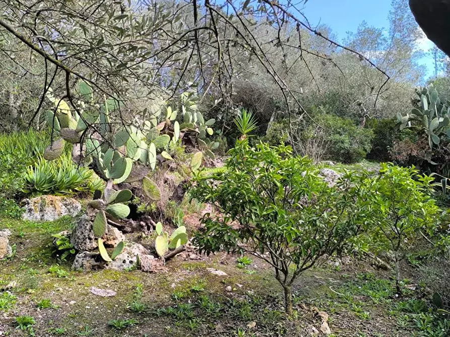 Immagine 21 di Villa in vendita  in Strada Vicinale Li Curuneddi Tronco B a Sassari