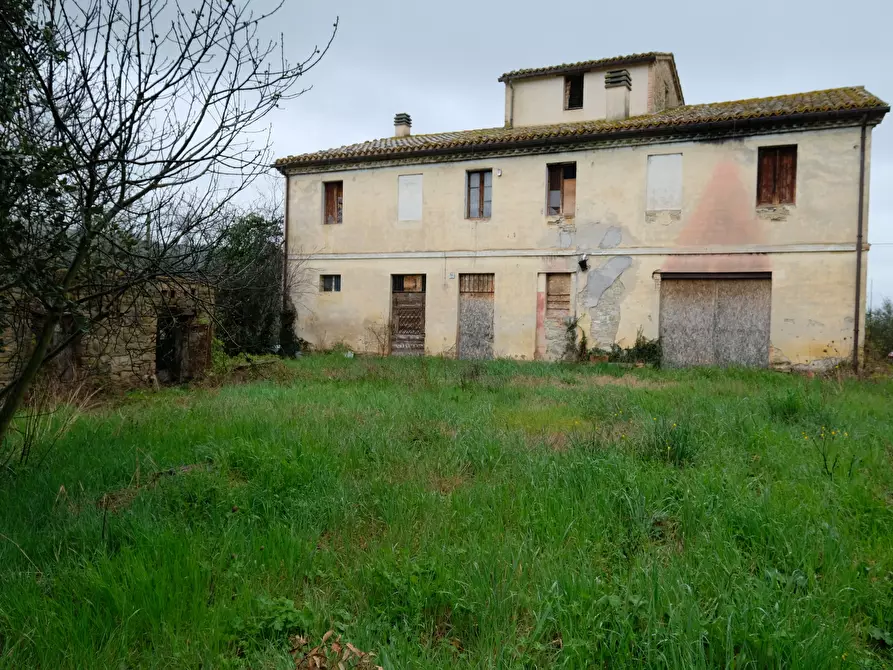 Immagine 2 di Terreno agricolo in vendita  in Contrada Salerna 129 a Cupramontana