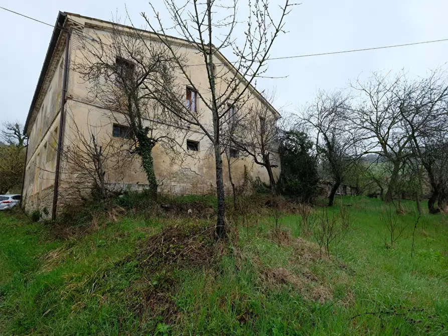 Immagine 10 di Terreno agricolo in vendita  in Contrada Salerna 129 a Cupramontana