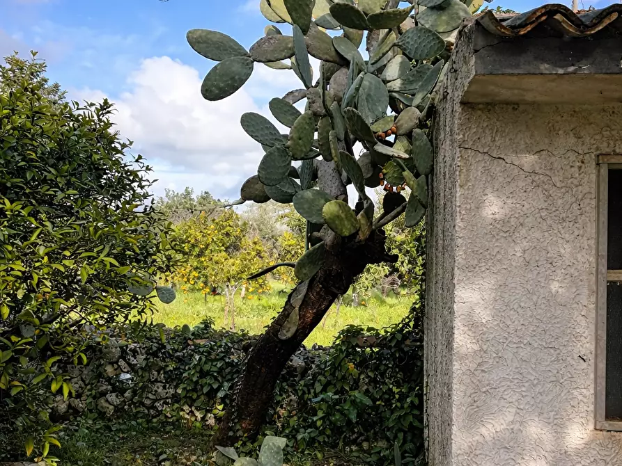 Immagine 11 di Terreno agricolo in vendita  in CONTRADA SABATU' a Canicattini Bagni