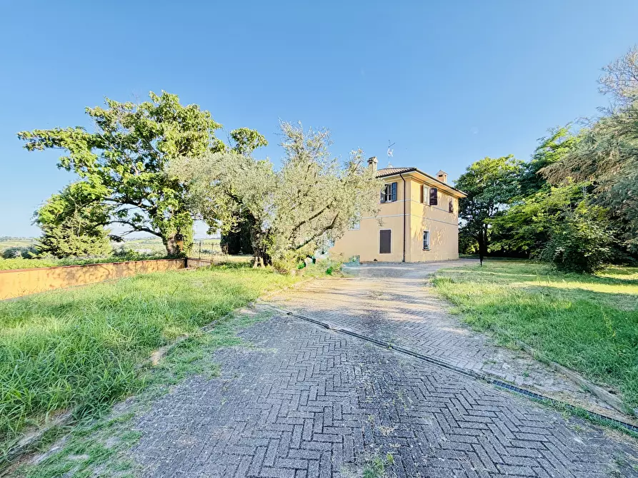 Immagine 35 di Villa in vendita  in vicinale papa 675 a Cesena