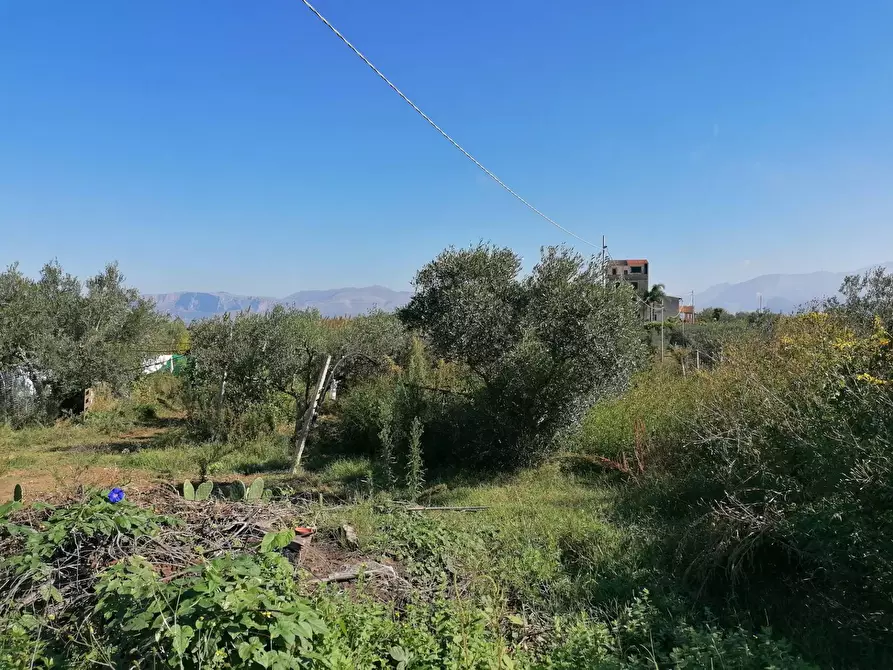 Immagine 31 di Rustico / casale in vendita  a Partinico