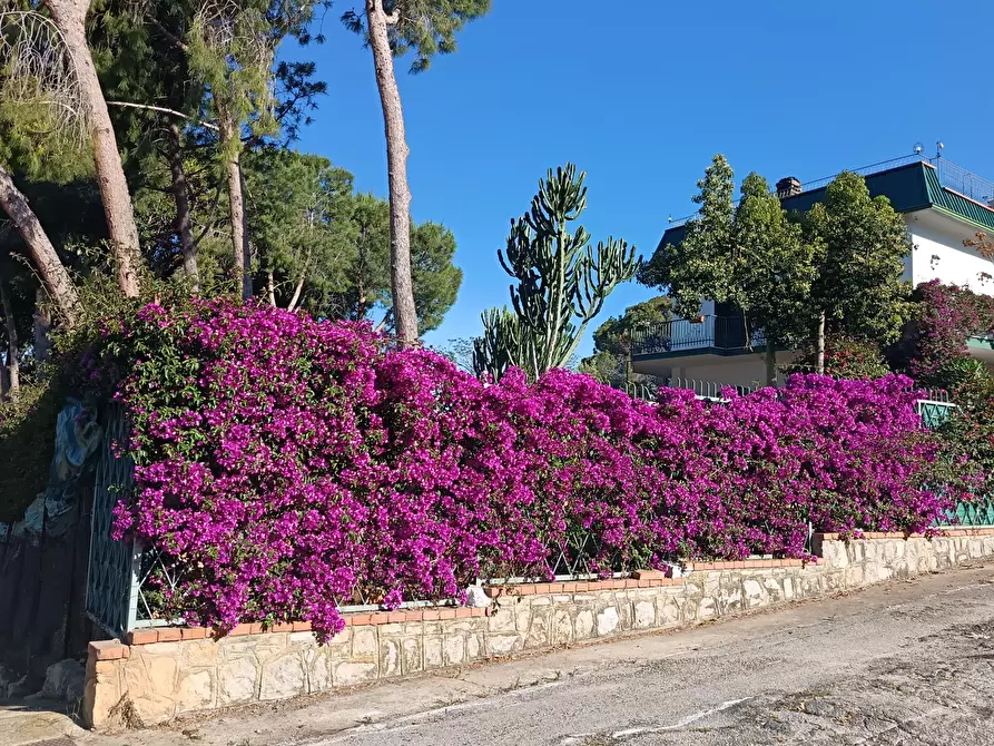 Immagine 30 di Villa in vendita  a Trabia